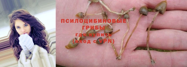 дмт Мегион
