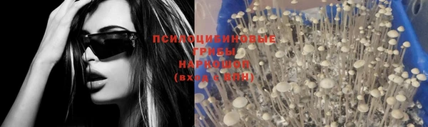 дмт Мегион