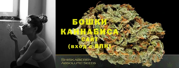 дмт Мегион