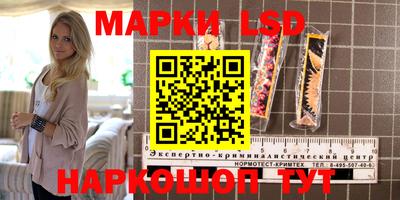 индика Кулебаки