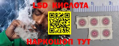индика Кулебаки