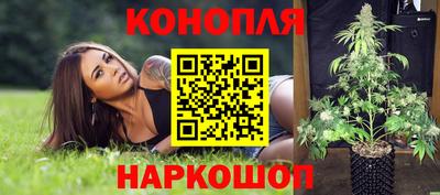 индика Кулебаки