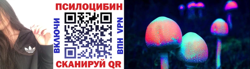 как найти закладки omg tor Галлюциногенные грибы прущие грибы Нижний Тагил